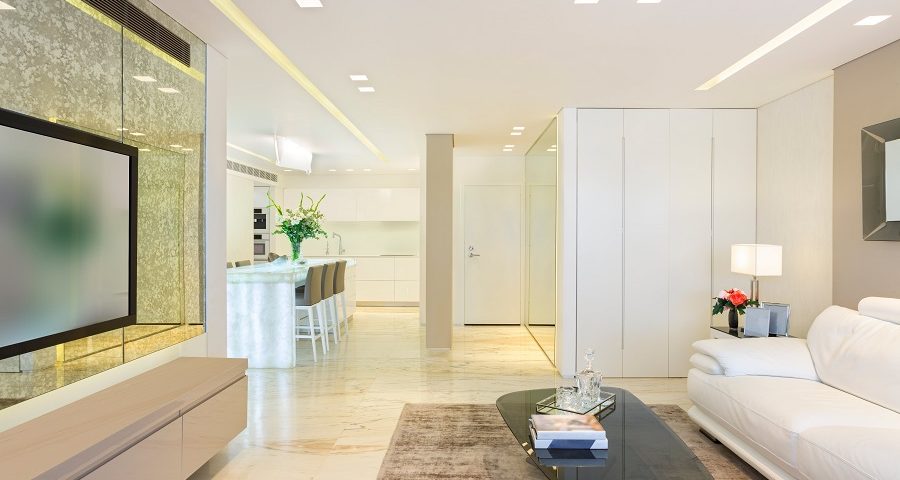 spacious luxurious modern design living room