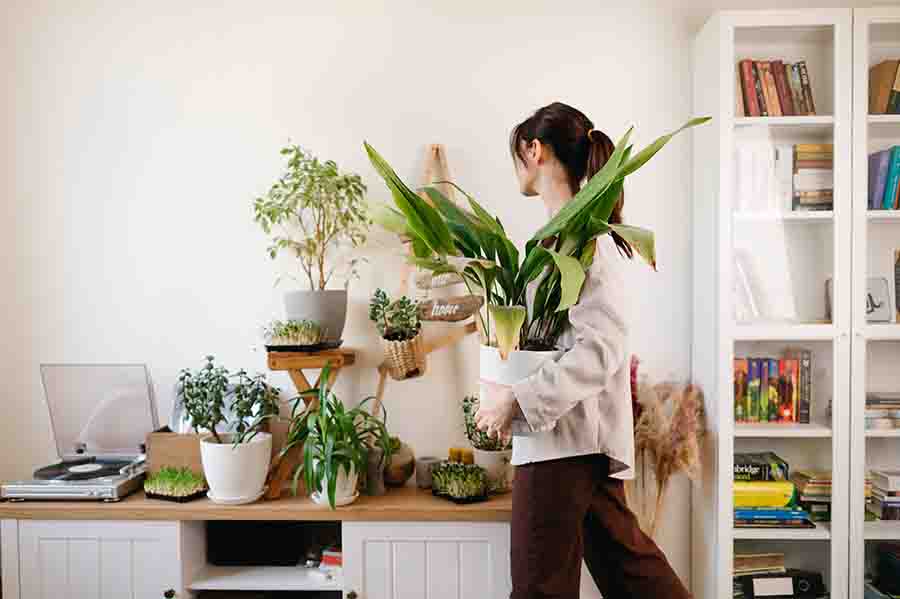 residential interior designer placing plants around the house